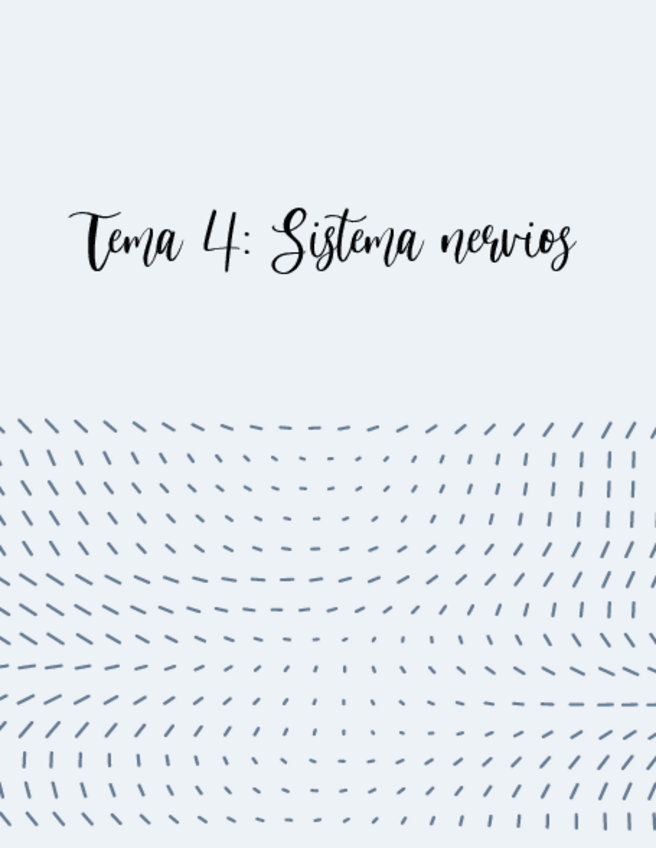 Miniatura del documento resumen-Sistema-Nervios.pdf