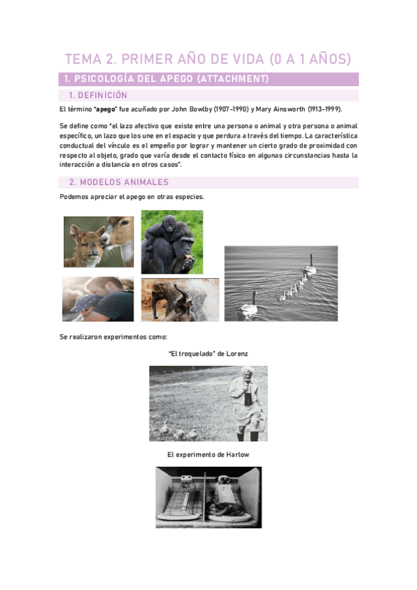 Miniatura del documento Tema-2.-PRIMER-ANO-DE-VIDA.pdf