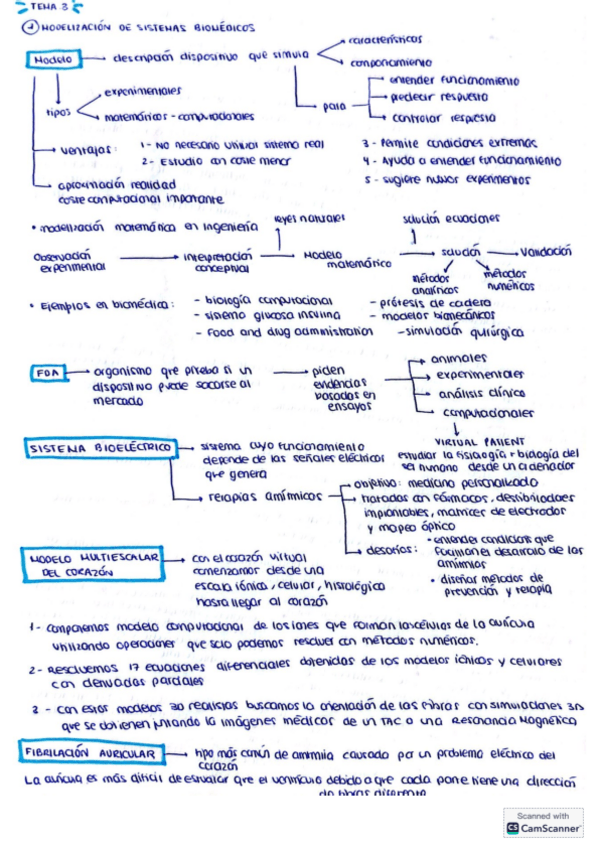 Miniatura del documento apuntes-segundo-parcial.pdf