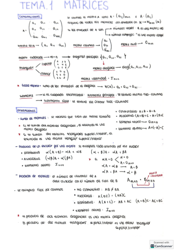 Miniatura del documento apuntes-tema-1.pdf