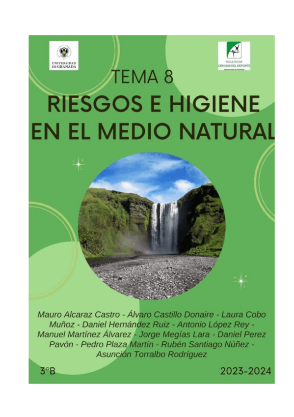 Miniatura del documento RIESGOS-E-HIGIENEENTREGA-FINALNOTA-10.pdf