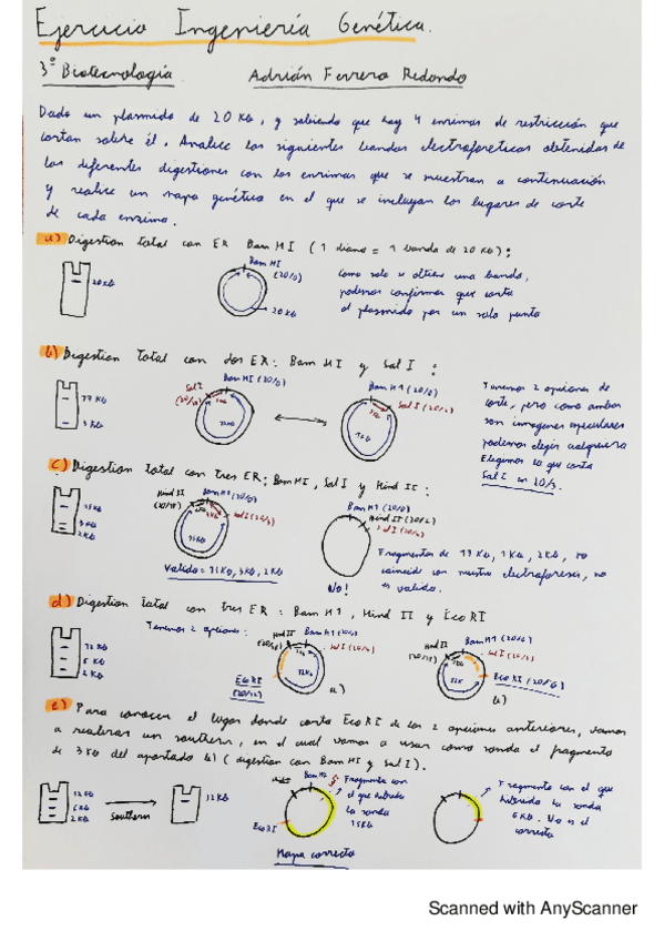 Miniatura del documento Ejercicio-Cartografia.pdf