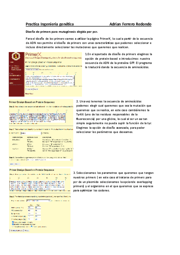 Miniatura del documento Entrega-oligos.pdf