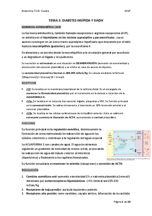 Miniatura del documento TEMA-3.DIABETES-INSIPIDA-Y-SIADH.pdf