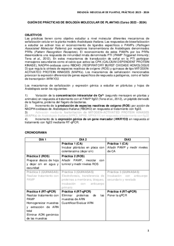 Miniatura del documento BMP-GUION-PRACTICAS-2023-2024-spanish-2.pdf