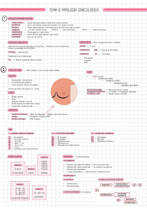 Miniatura del documento T8-PATOLOGIA-GINECOLOGICA.pdf