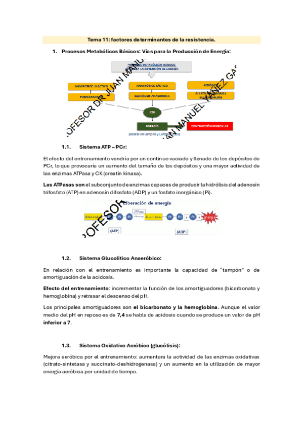 Miniatura del documento tema-11.-factores-determinantes-de-la-resistencia.pdf