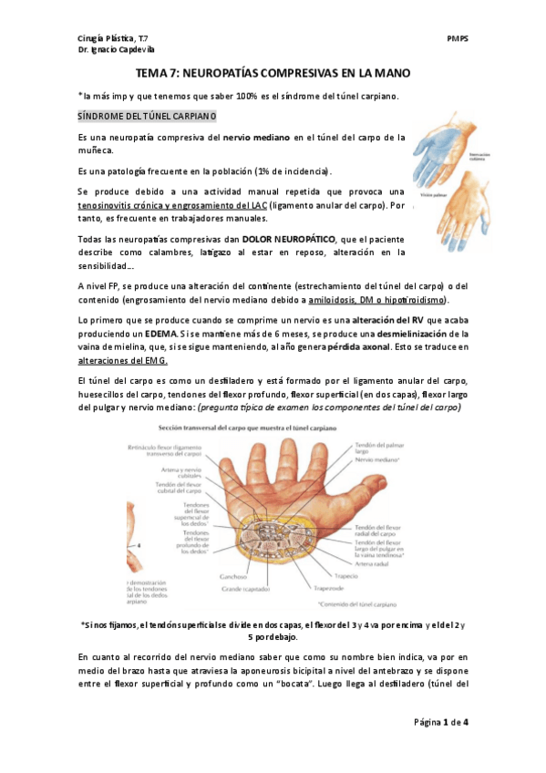 Miniatura del documento TEMA-7.-PLASTICA.pdf
