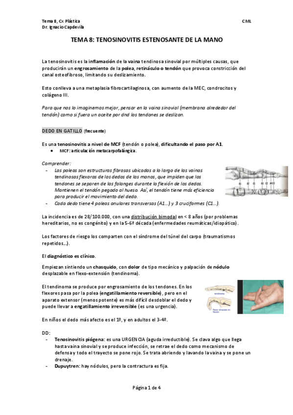 Miniatura del documento TEMA-8.-PLASTICA.pdf
