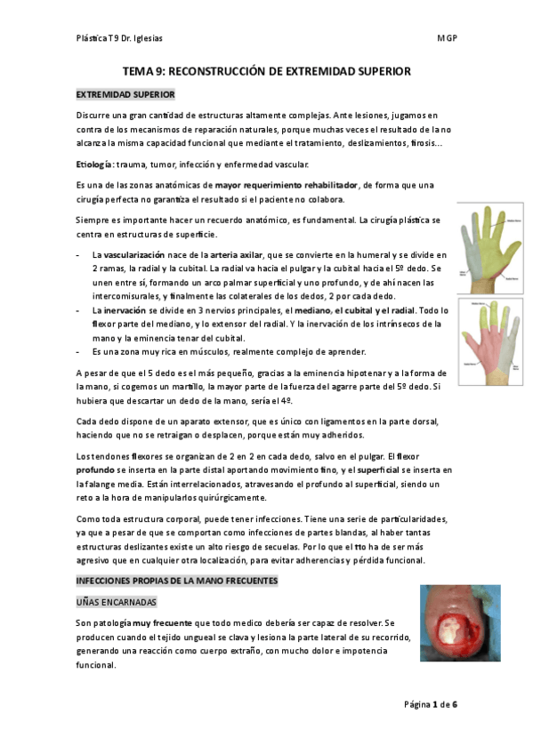 Miniatura del documento TEMA-9.-PLASTICA.pdf