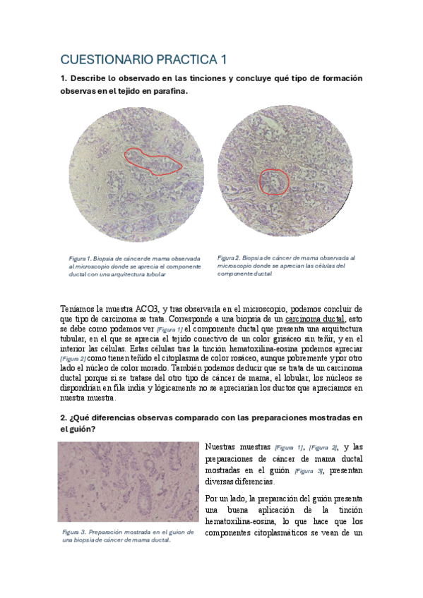 Miniatura del documento Practicas-Patologia.pdf