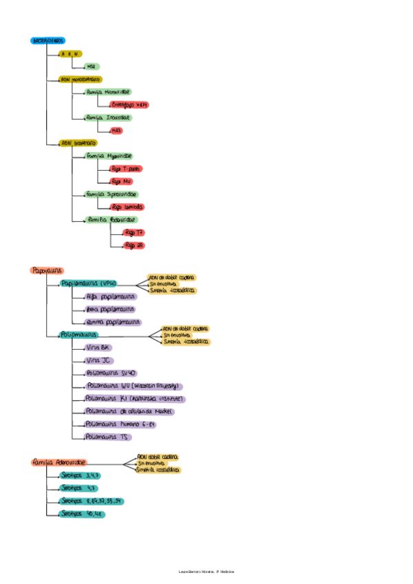 Miniatura del documento ESQUEMA-VIRUS.pdf