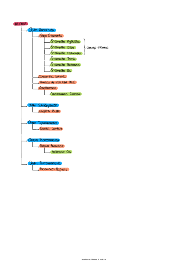 Miniatura del documento ESQUEMA-PROTOZOOS.pdf