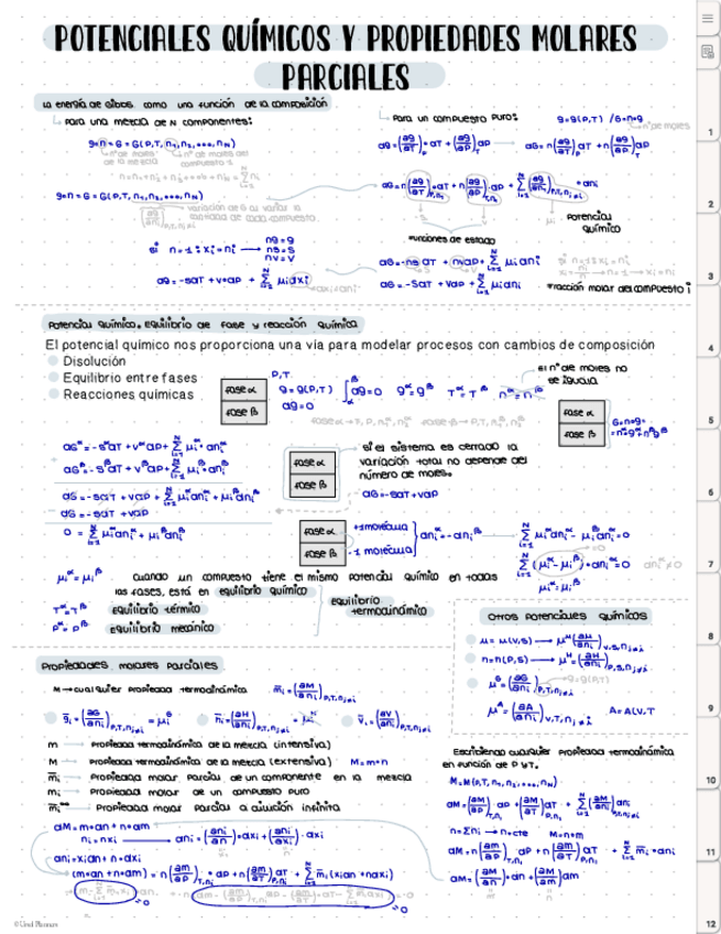 Miniatura del documento Potenciales-quimicos-y-propiedades-molares-parciales.pdf