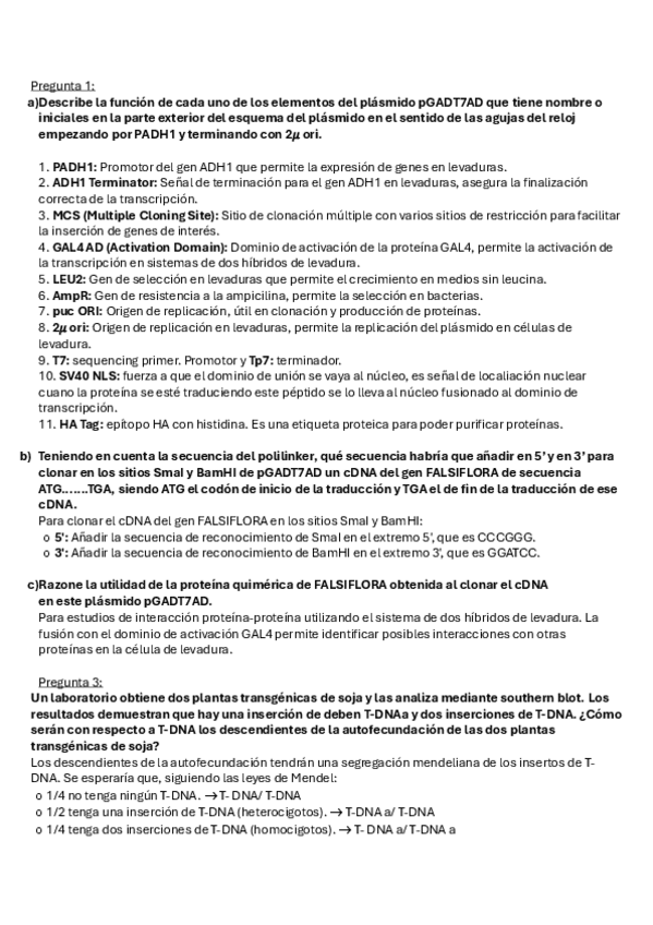 Miniatura del documento EXAMEN-RESUELTO.pdf