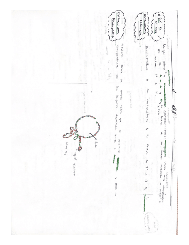 Miniatura del documento EL-ARN--VIRUS.pdf