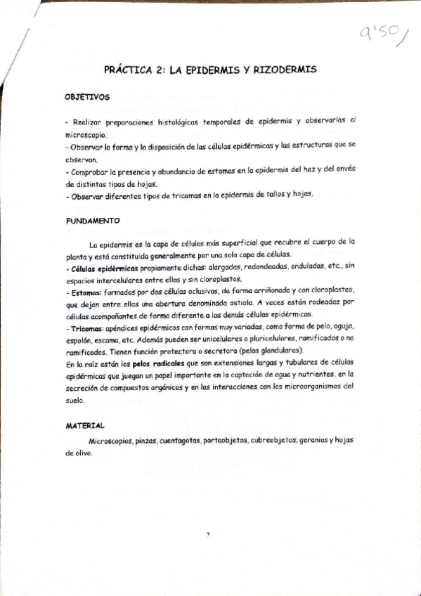 Miniatura del documento Practica-2-Epidermis-y-Rizodermis.pdf