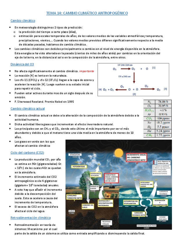 Miniatura del documento Apuntes-Tema-14.pdf