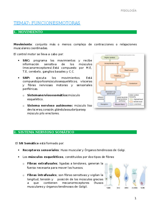 Miniatura del documento 7.-Funciones-motoras.docx