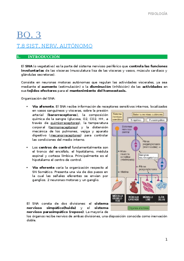 Miniatura del documento 8.-Sistema-nervioso-autonomo.docx