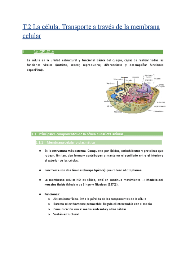 Miniatura del documento 2.-La-celula.pdf