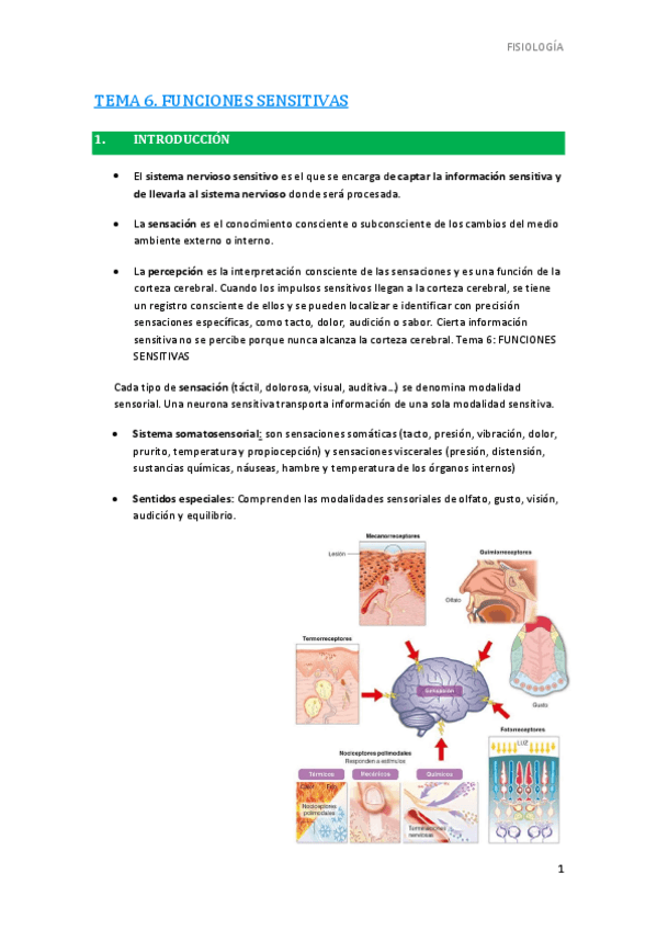 Miniatura del documento 6.-Funciones-sensitivas.pdf