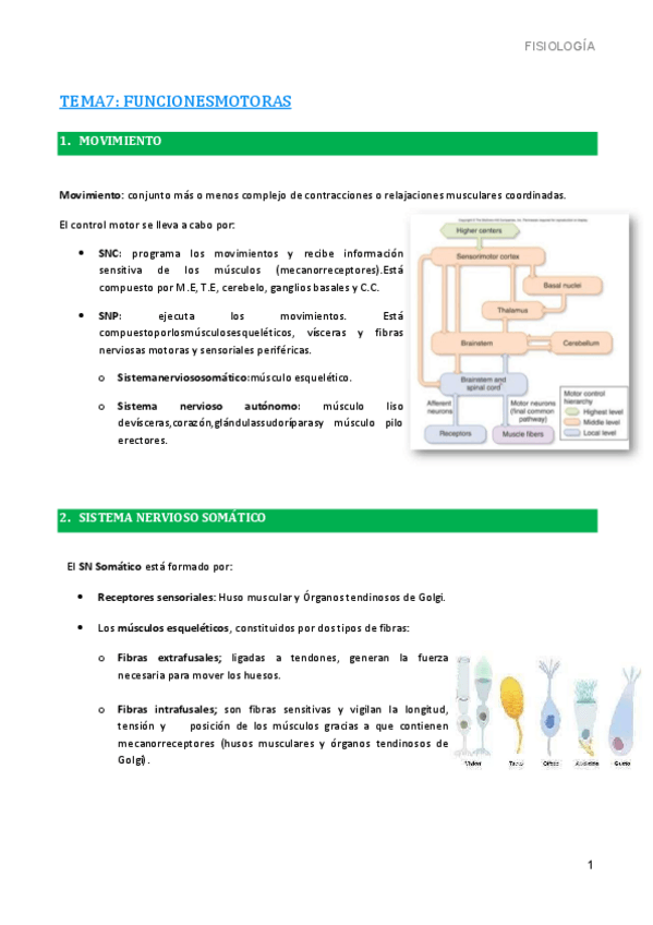 Miniatura del documento 7.-Funciones-motoras.pdf