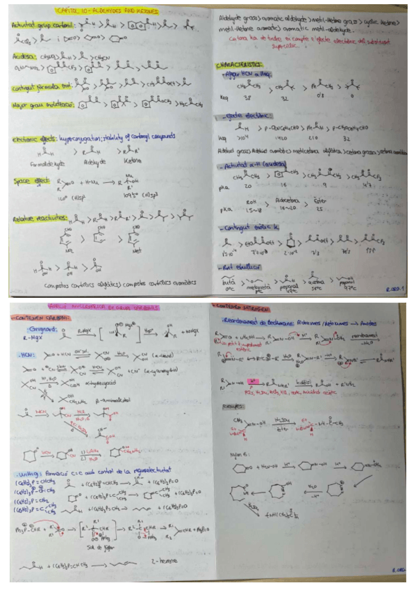 Miniatura del documento REPAS-QOIIQOIII.pdf