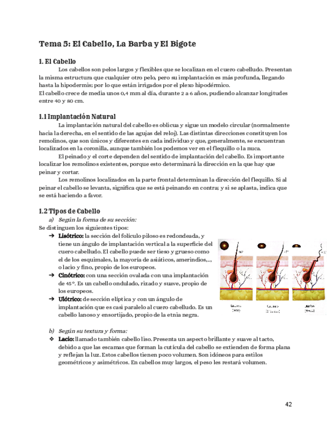 Miniatura del documento Tema-5-Dermotricologia.pdf