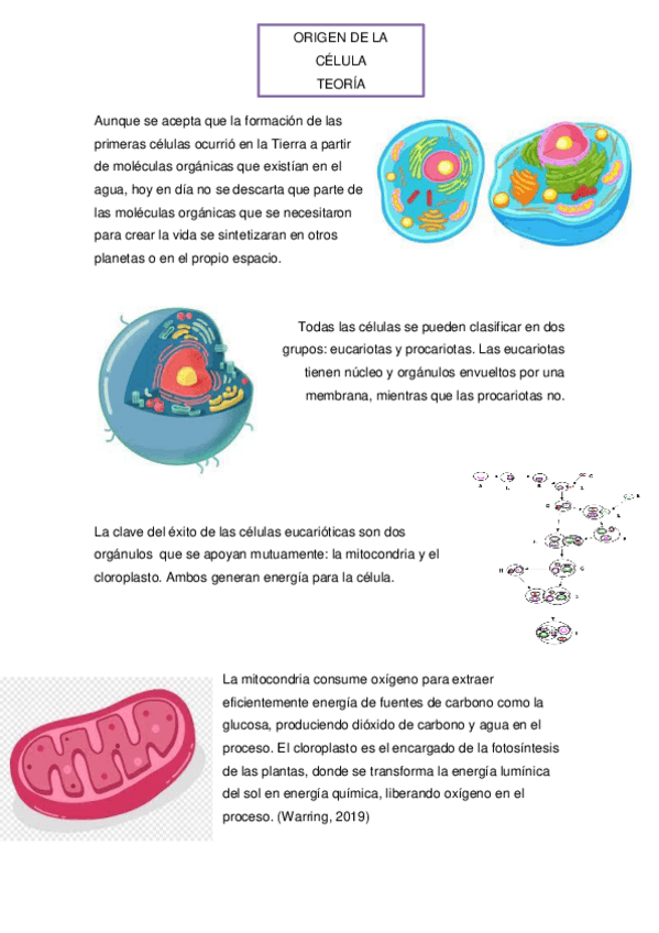 Miniatura del documento infografia-de-del-origen-de-las-celulas.pdf