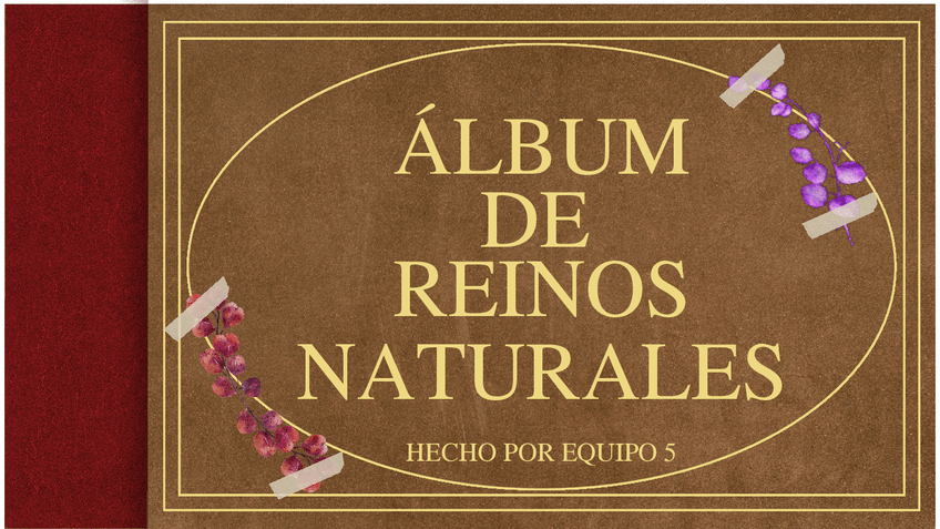 Miniatura del documento Album-de-los-Reinos-Naturales.pdf