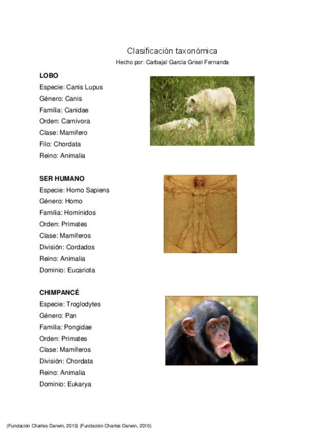 Miniatura del documento Clasificacion-taxonomica.pdf