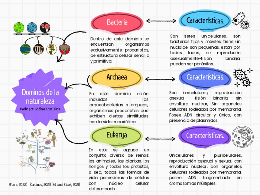 Miniatura del documento Cuadro-sinoptico-de-las-caracteristicas-de-los-tres-dominios.pdf
