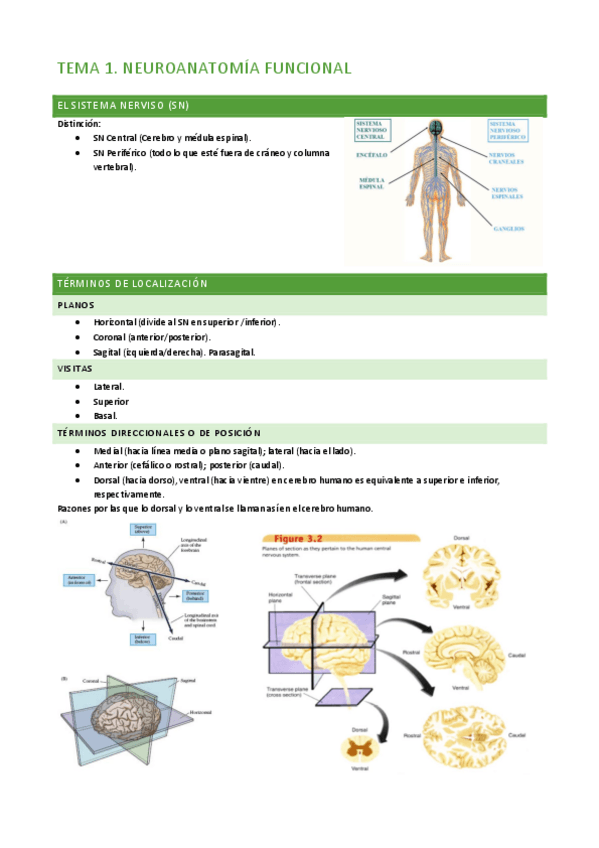 Miniatura del documento Tema-1.pdf