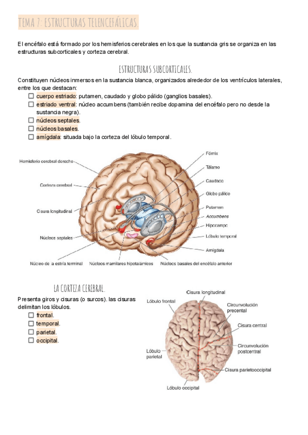 Miniatura del documento TEMA-7.pdf