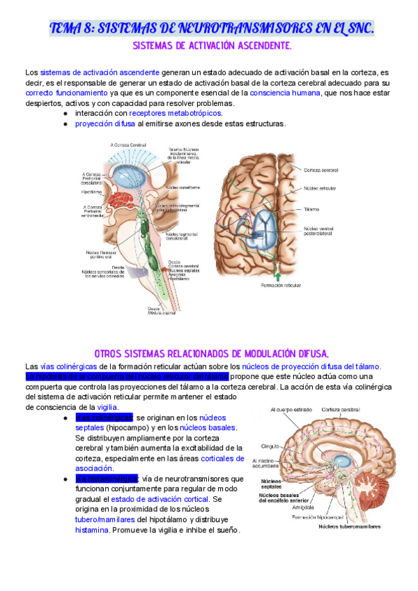 Miniatura del documento TEMA-8.pdf