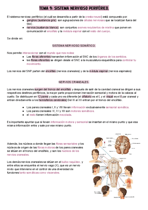 Miniatura del documento TEMA-9.pdf