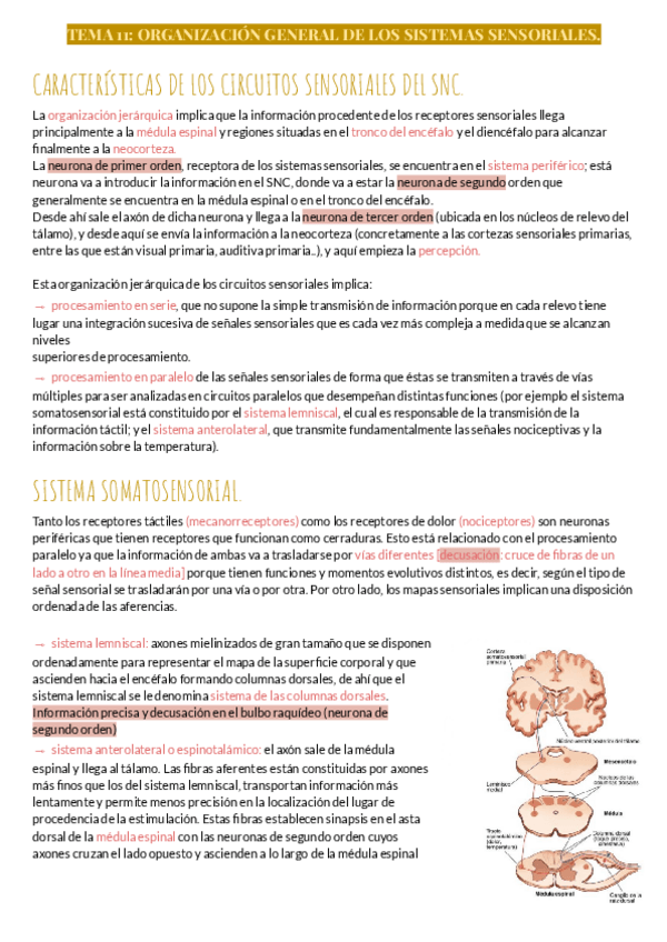 Miniatura del documento TEMA-11.pdf