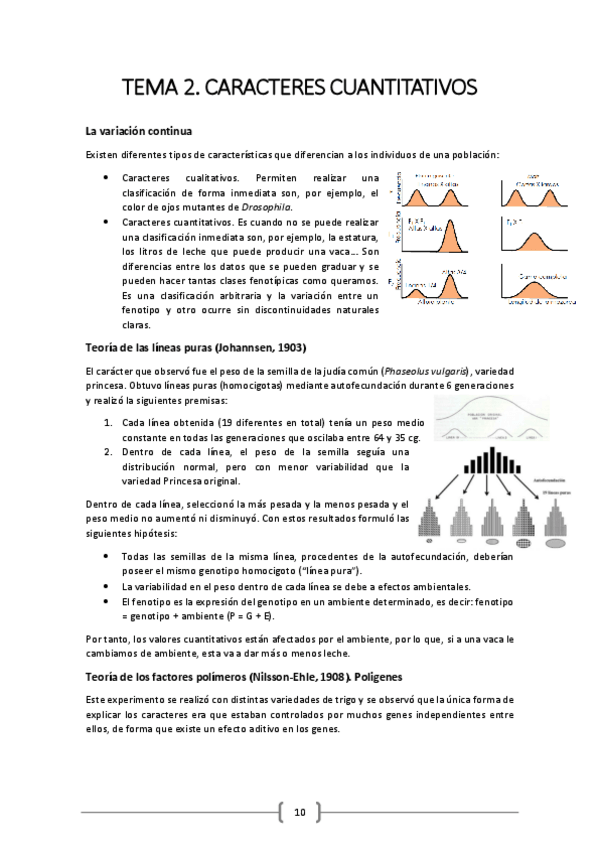 Miniatura del documento TEMA-2.pdf