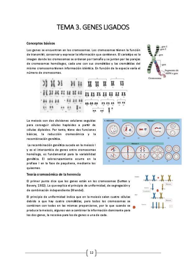 Miniatura del documento TEMA-3.pdf