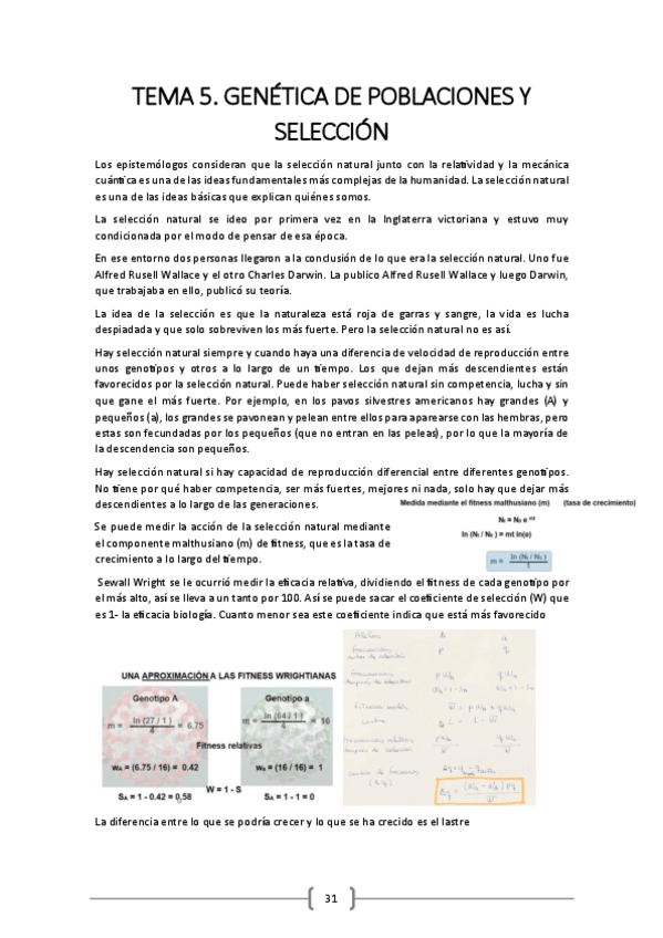 Miniatura del documento TEMA-5.pdf