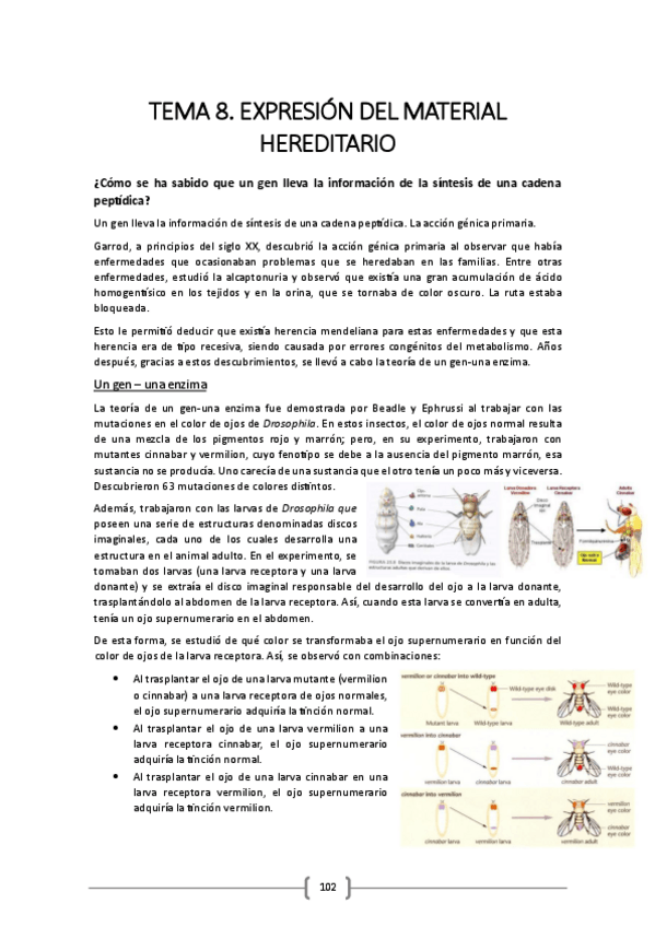 Miniatura del documento TEMA-8.pdf