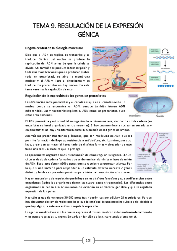 Miniatura del documento TEMA-9.pdf