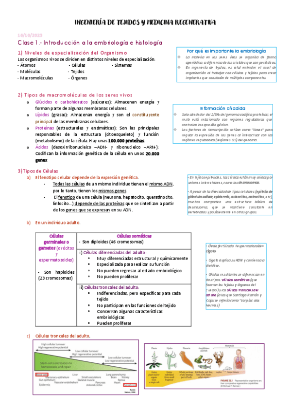 Miniatura del documento Teoria-ITMR-Completa.pdf