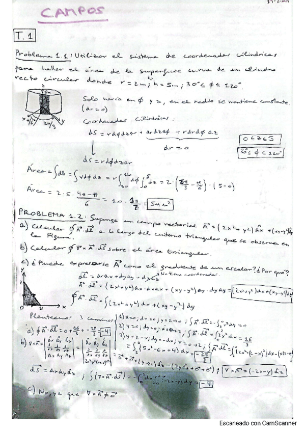 Miniatura del documento Tema-1-Campos.pdf