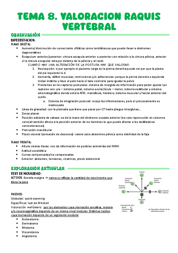 Miniatura del documento TEMA-8.-VALORACION-RAQUIS-VERTEBRAL.pdf