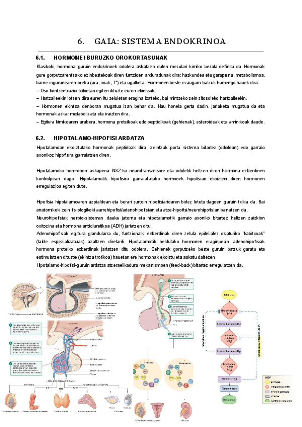 Miniatura del documento 06.-gaia.pdf