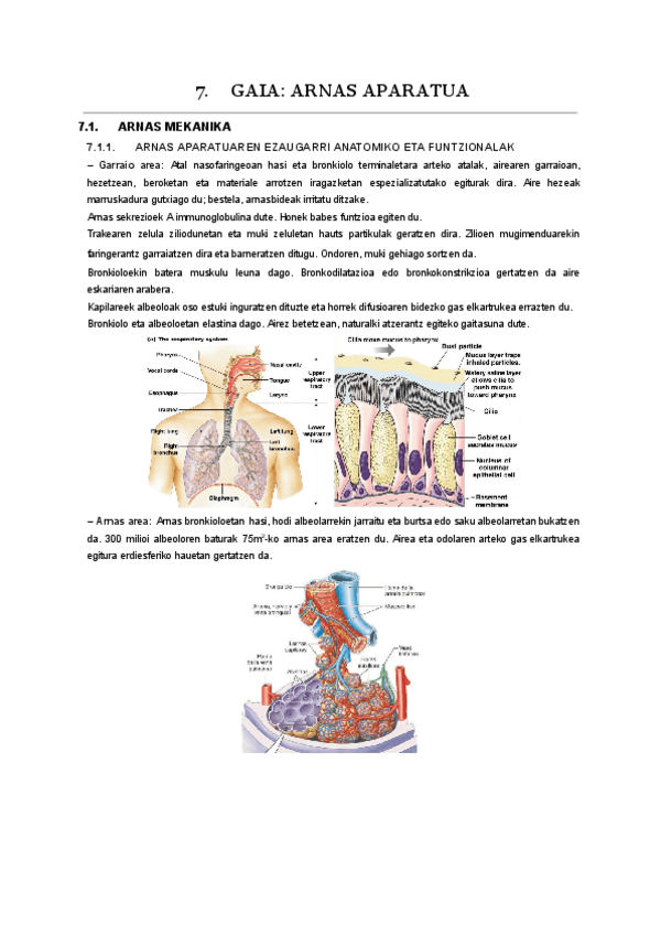 Miniatura del documento 07.-gaia.pdf