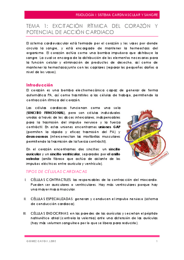 Miniatura del documento TEMA-1.pdf