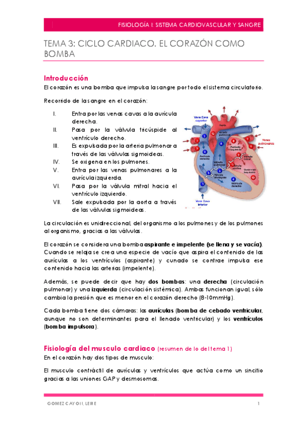 Miniatura del documento TEMA-3.pdf